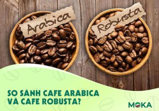 So sánh cafe arabica và cafe robusta?
