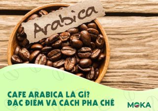 Cafe Arabica là gì? Đặc điểm và cách pha chế