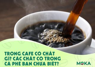 Trong cafe có chất gì? Các chất có trong cà phê bạn chưa biết?