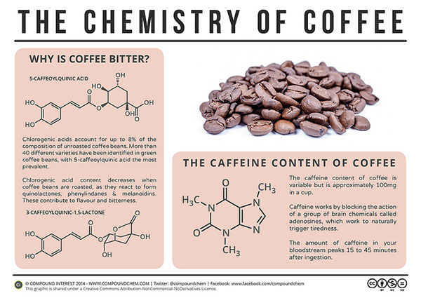 Trong cafe có chất gì? Các chất có trong cà phê bạn chưa biết?